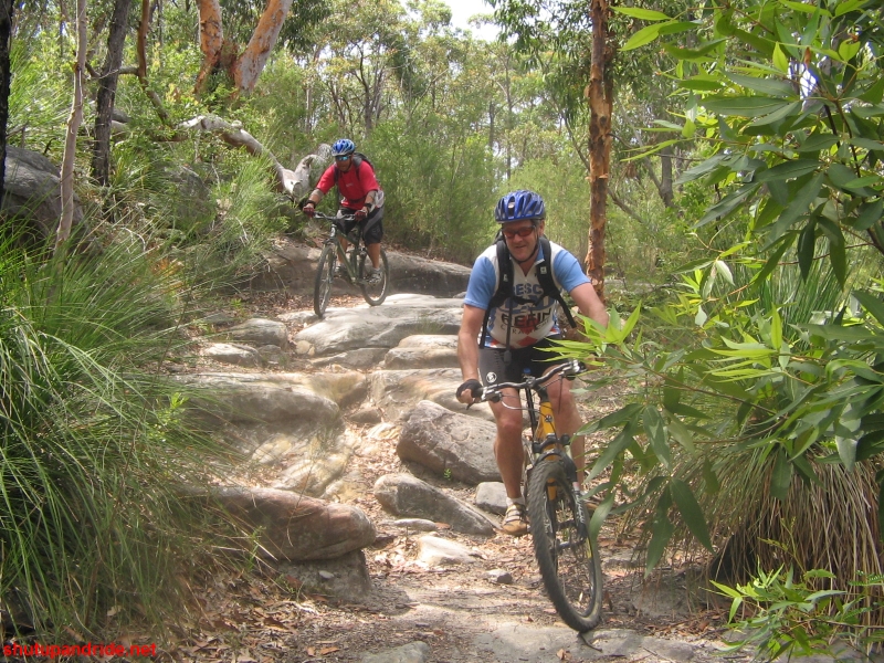 20061210-Lindfield 047 